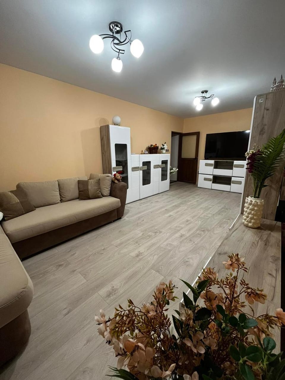 Living room, Photo of the whole room, Bedroom