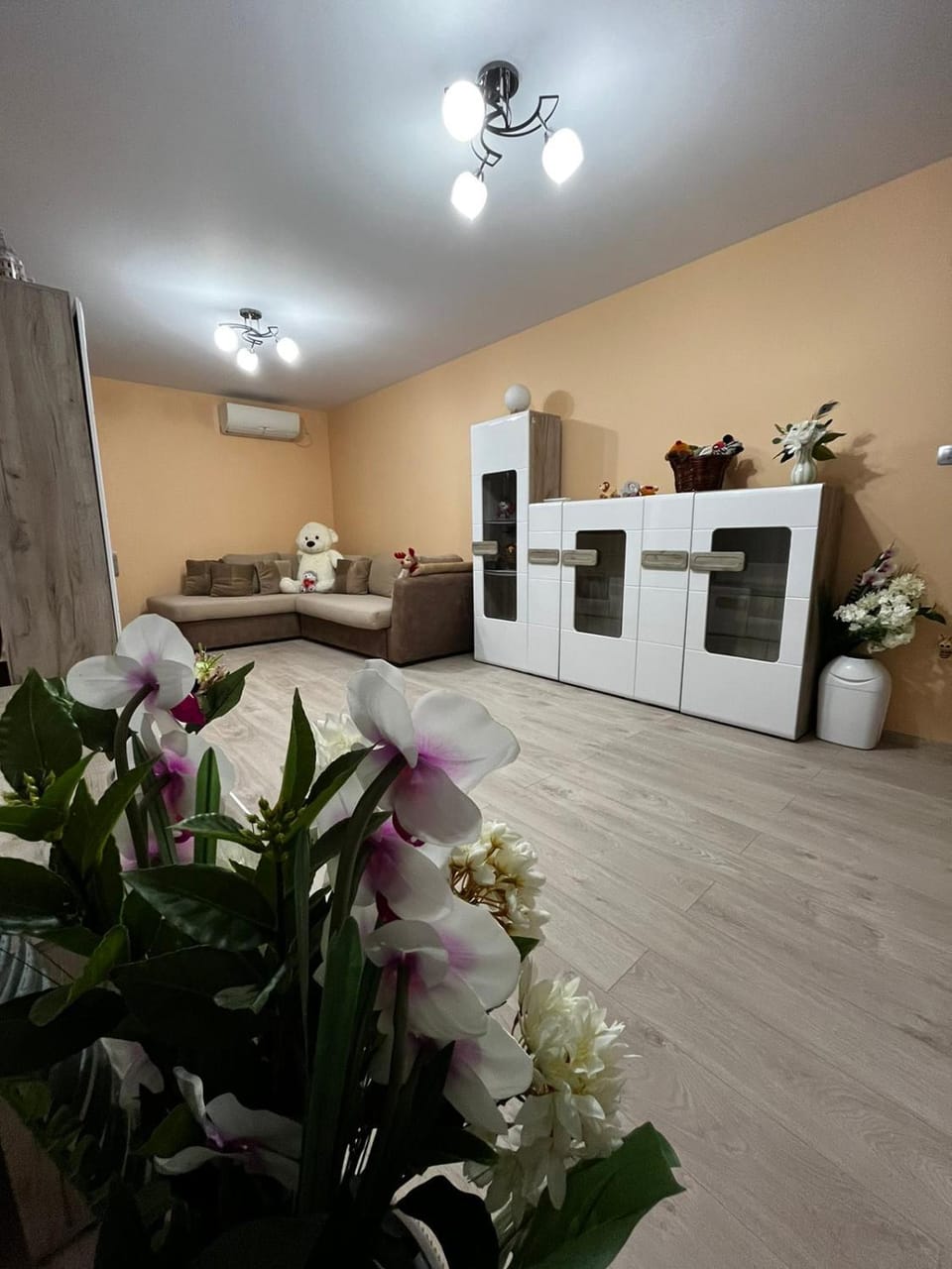 Communal lounge/ TV room, Living room, Photo of the whole room