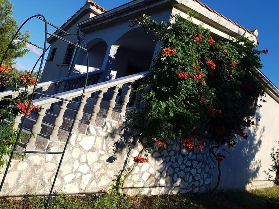 Property building, Day