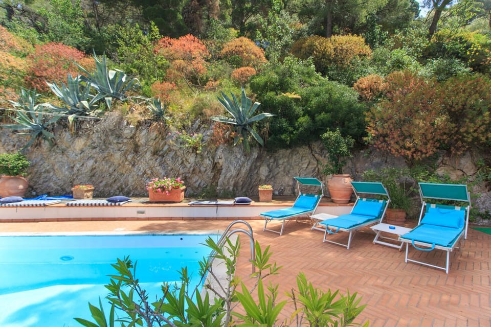 Natural landscape, Garden, Garden view, Pool view, Swimming pool, sunbed