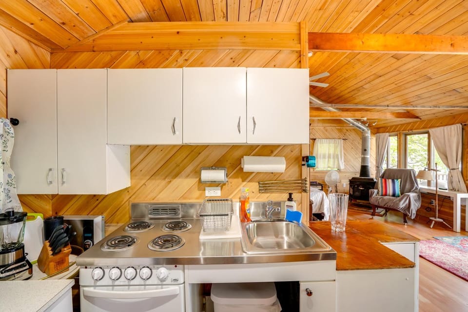 Waterfront Berkshires Studio w/ Dock on Goose Pond Apartment in Lee