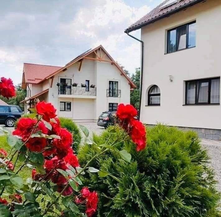 Pensiunea Baias Bed and Breakfast in Romania