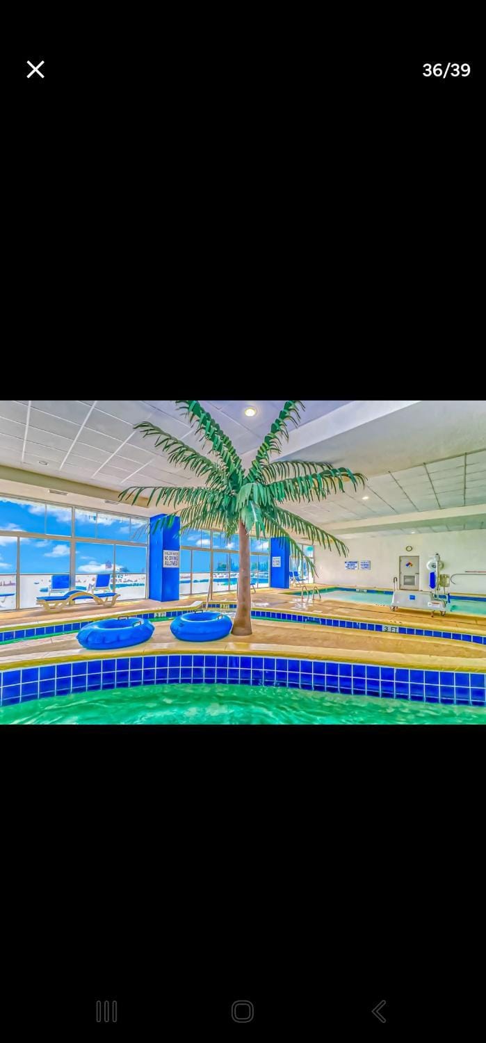 Swimming pool, Swimming pool
