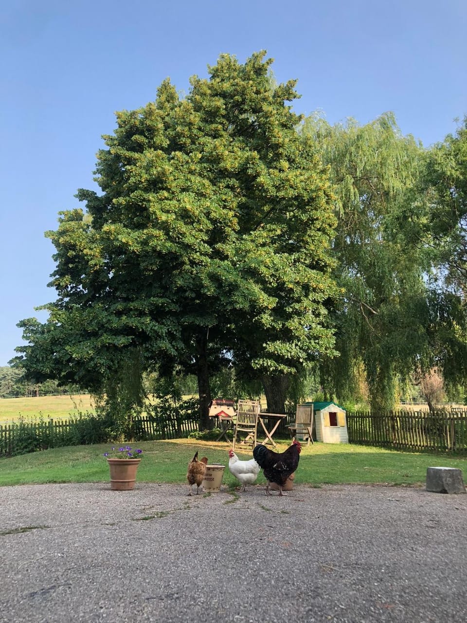 Chambres D'hotes De La Mure Bed and Breakfast in Auvergne-Rhône-Alpes
