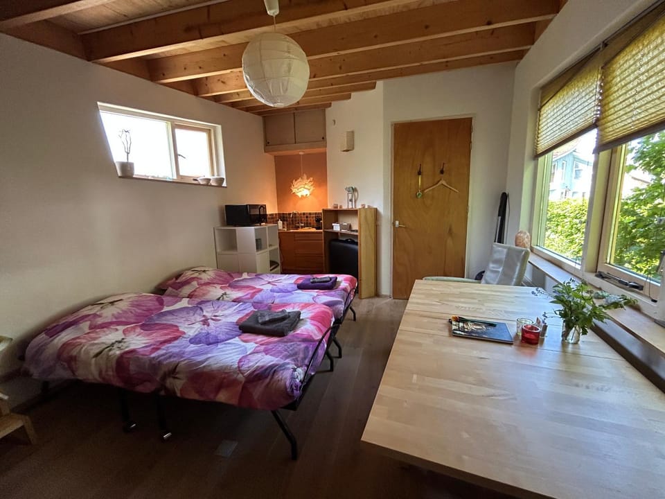 Bed, Kitchen or kitchenette, Photo of the whole room, Bedroom