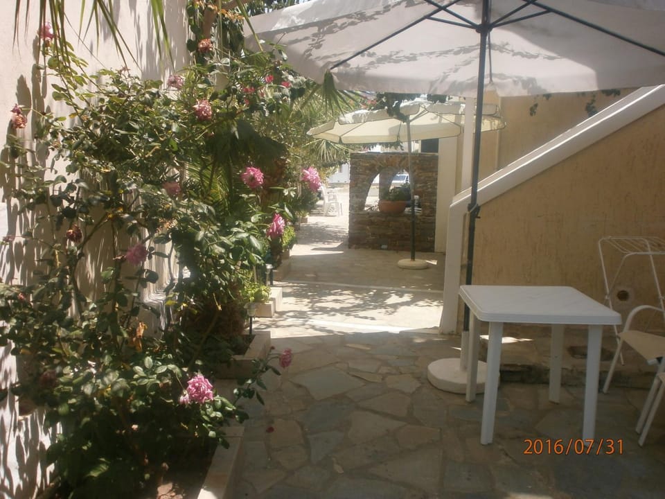 Day, Garden view