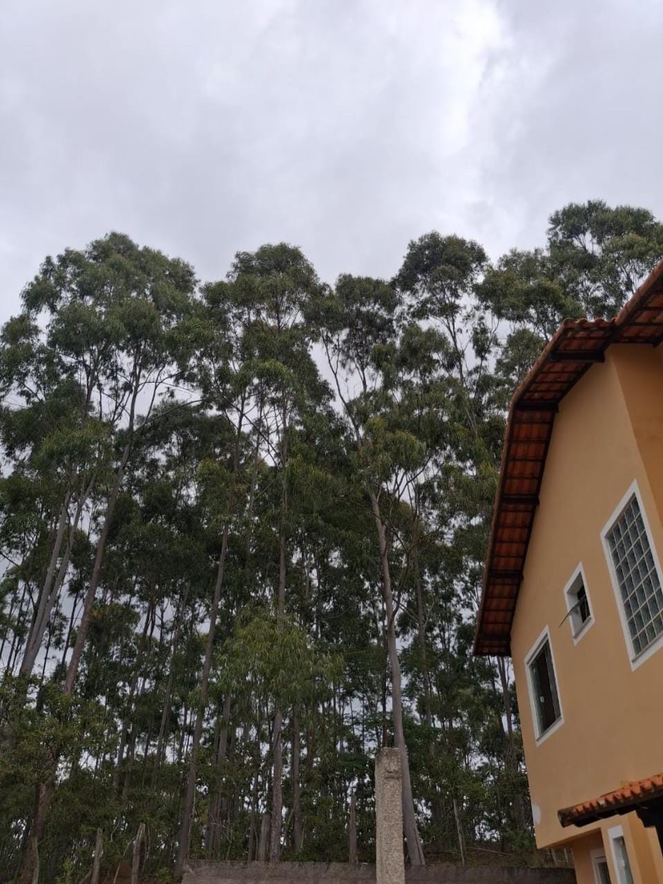 Monte Bello 4 House in Miguel Pereira
