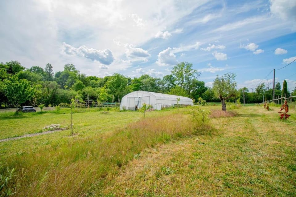 Natural landscape, Garden