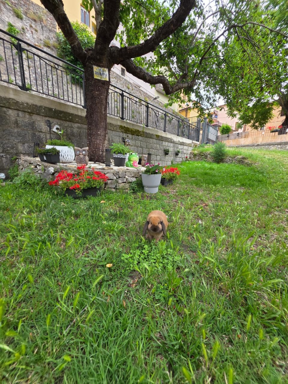 B&B Il Tralcio Apartment in Umbria