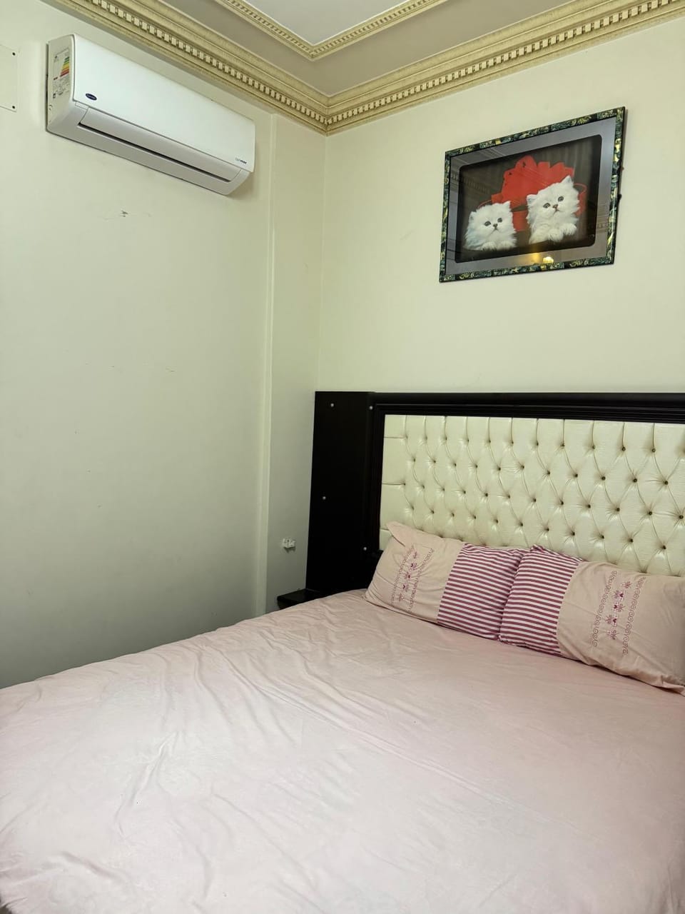 Ras elbar Palace Apartment in Egypt