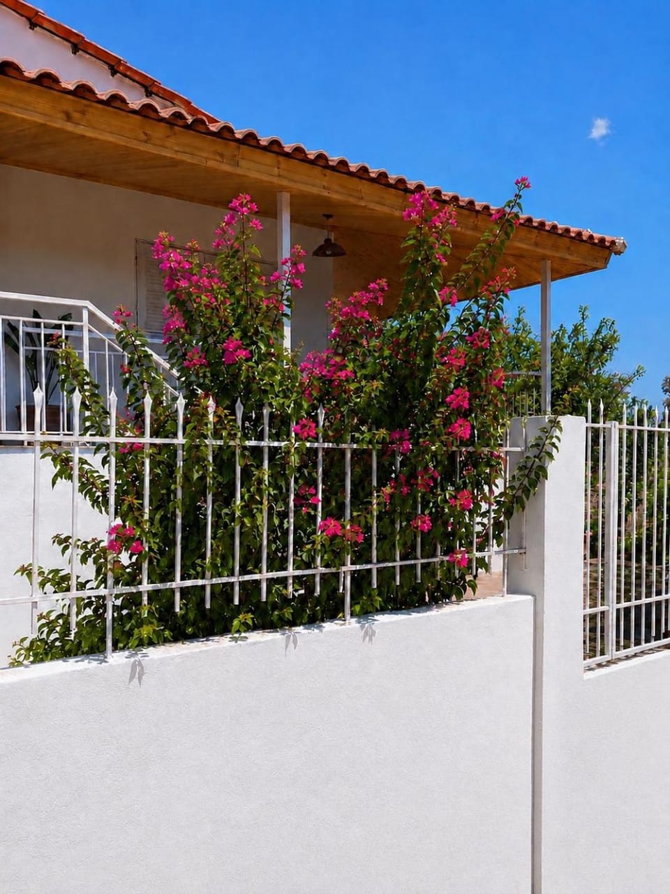 La bouganvillia à Érétrie, Ile d'Eubée, Grèce House in Euboea