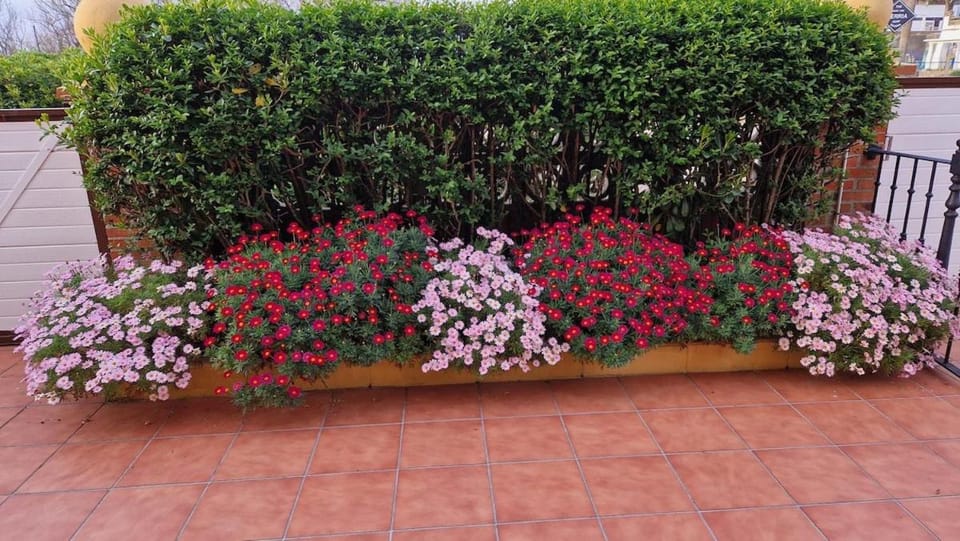 R2R - Villa Hortensia - C05B03 Apartment in Cantabria