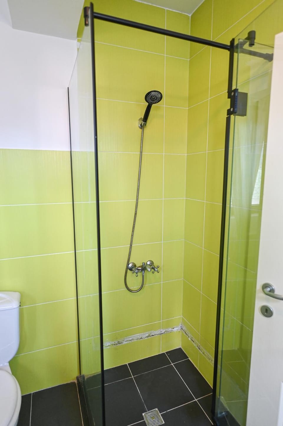 Wellness Green House Villa in Skopje