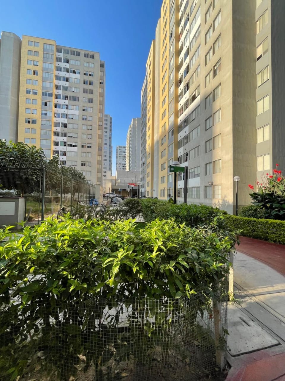 Property building