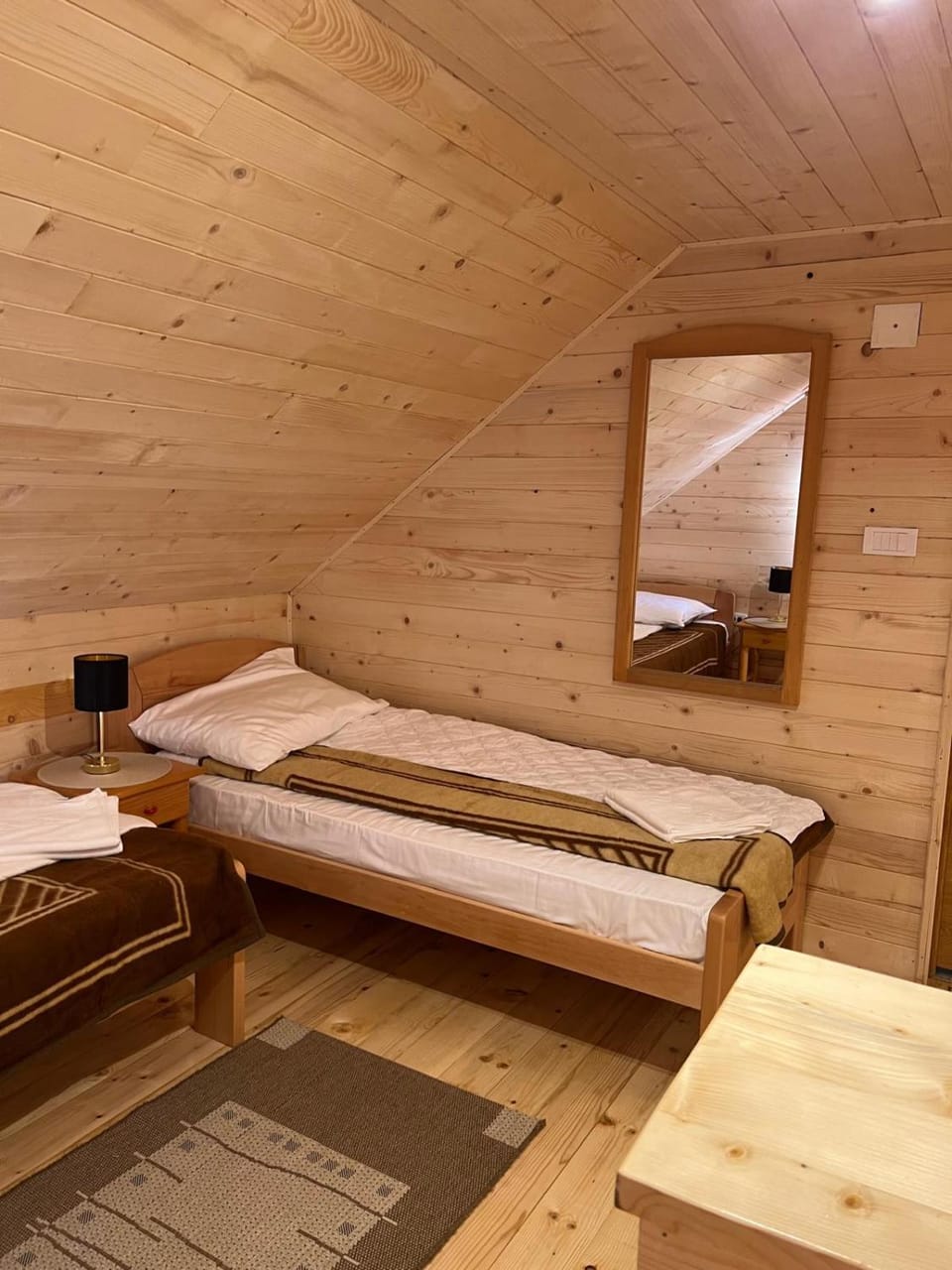 Brvnarica na reci House in Serbia