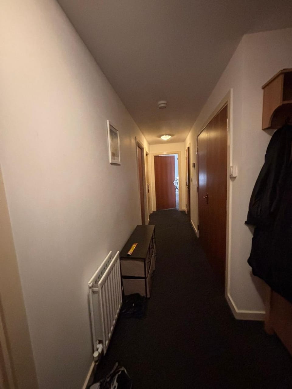 Beautiful blue apartment Apartment in Barking