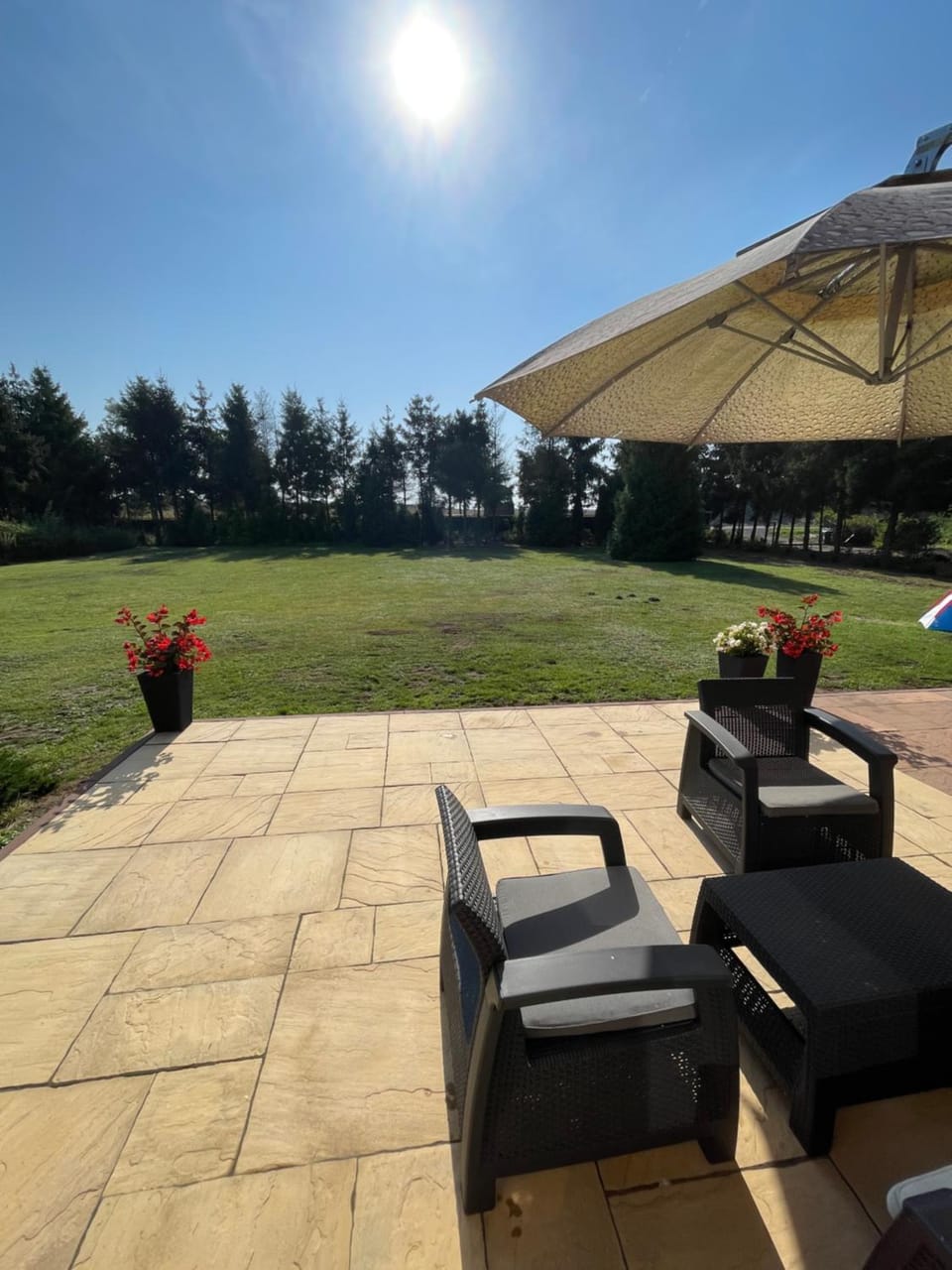 Day, Garden, Seating area, Garden view
