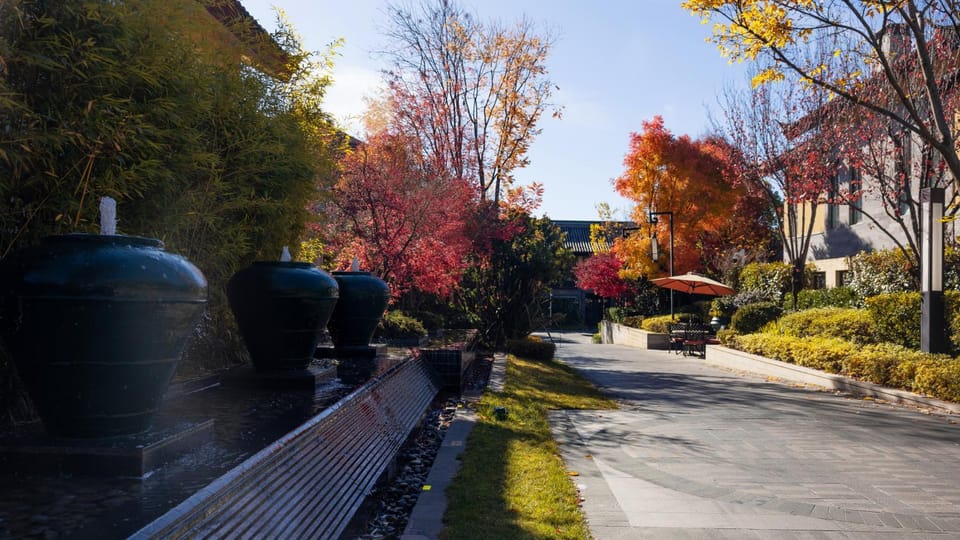 Spring, Day, Garden, Garden view
