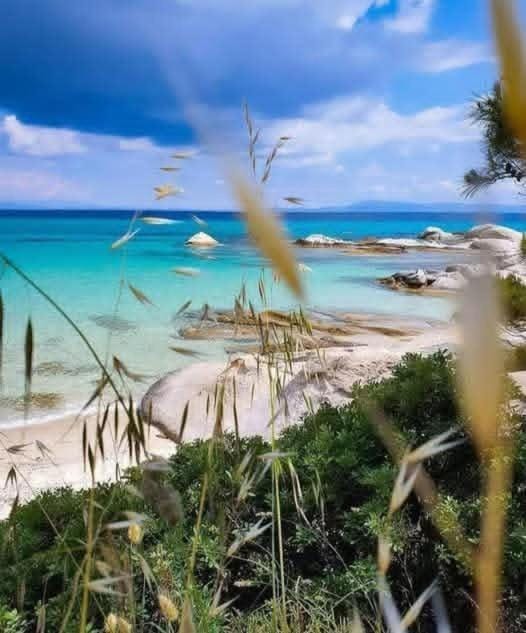 Nearby landmark, Day, Natural landscape, Beach