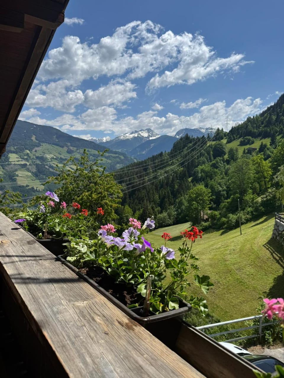 View (from property/room)