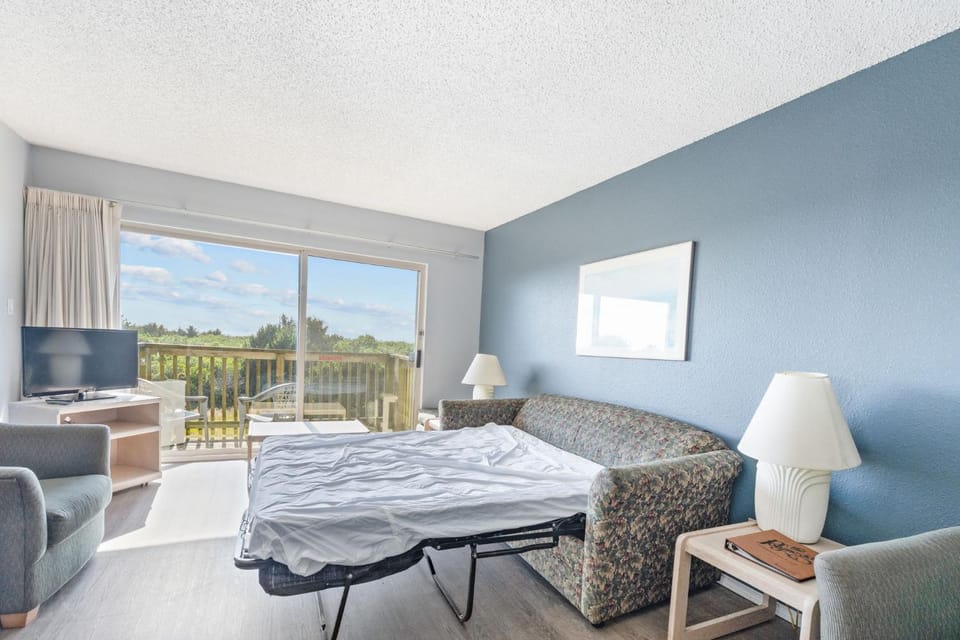 Ocean View Pet-Friendly 1-Bedroom Family Suite - Pool and Hot Tub House in Ocean Shores