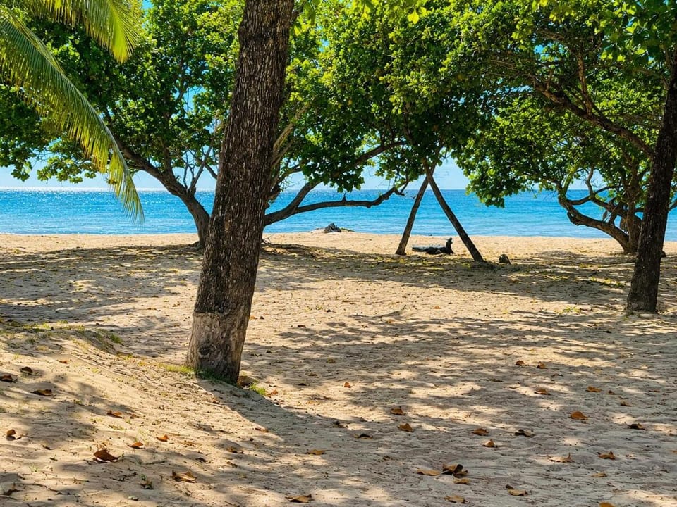 Spacious Oceanfront 2BR Marien Resort 214 Apartment in Puerto Plata