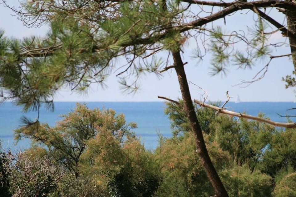Natural landscape
