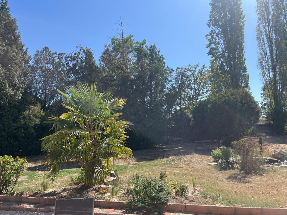 Garden view