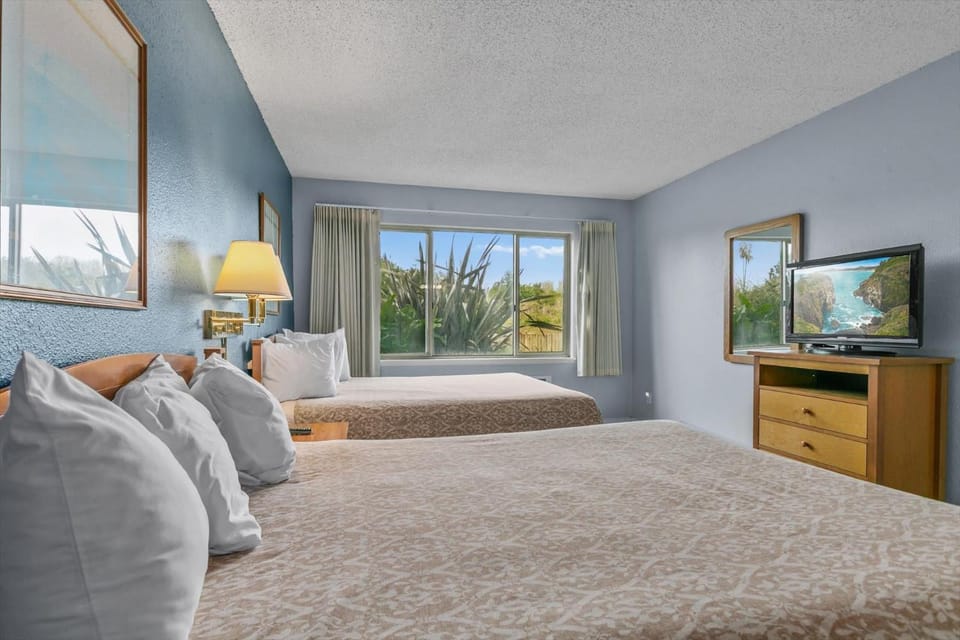 2-Bedroom Family Suite - Pet-Friendly - Kitchen - Pool and Hot Tub House in Ocean Shores