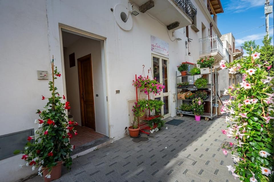 Terrazza Privata a Lipari Centro Apartment in Lipari