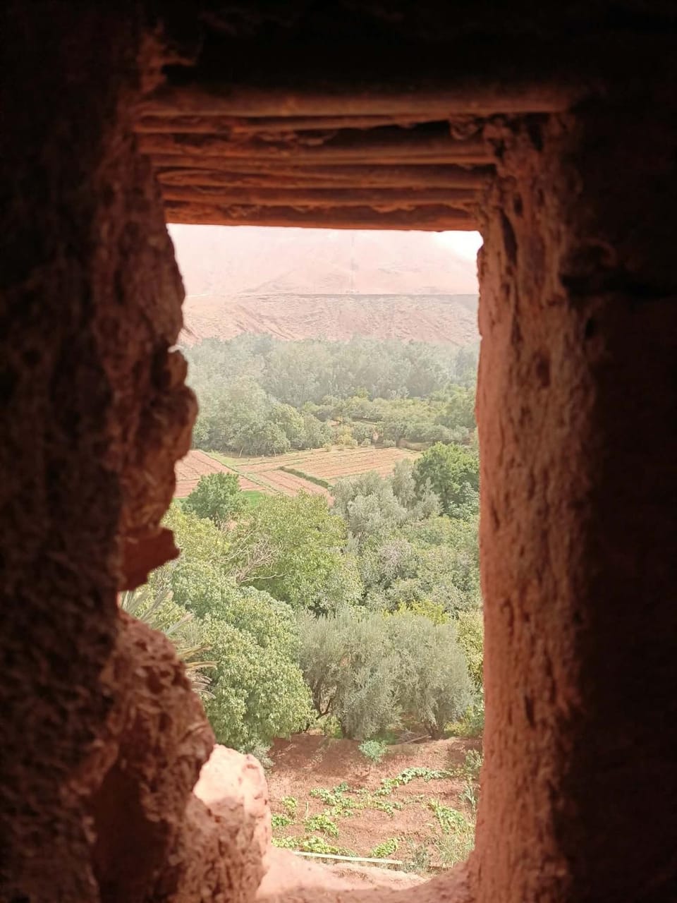 Taddart n Dades Vacation rental in Morocco