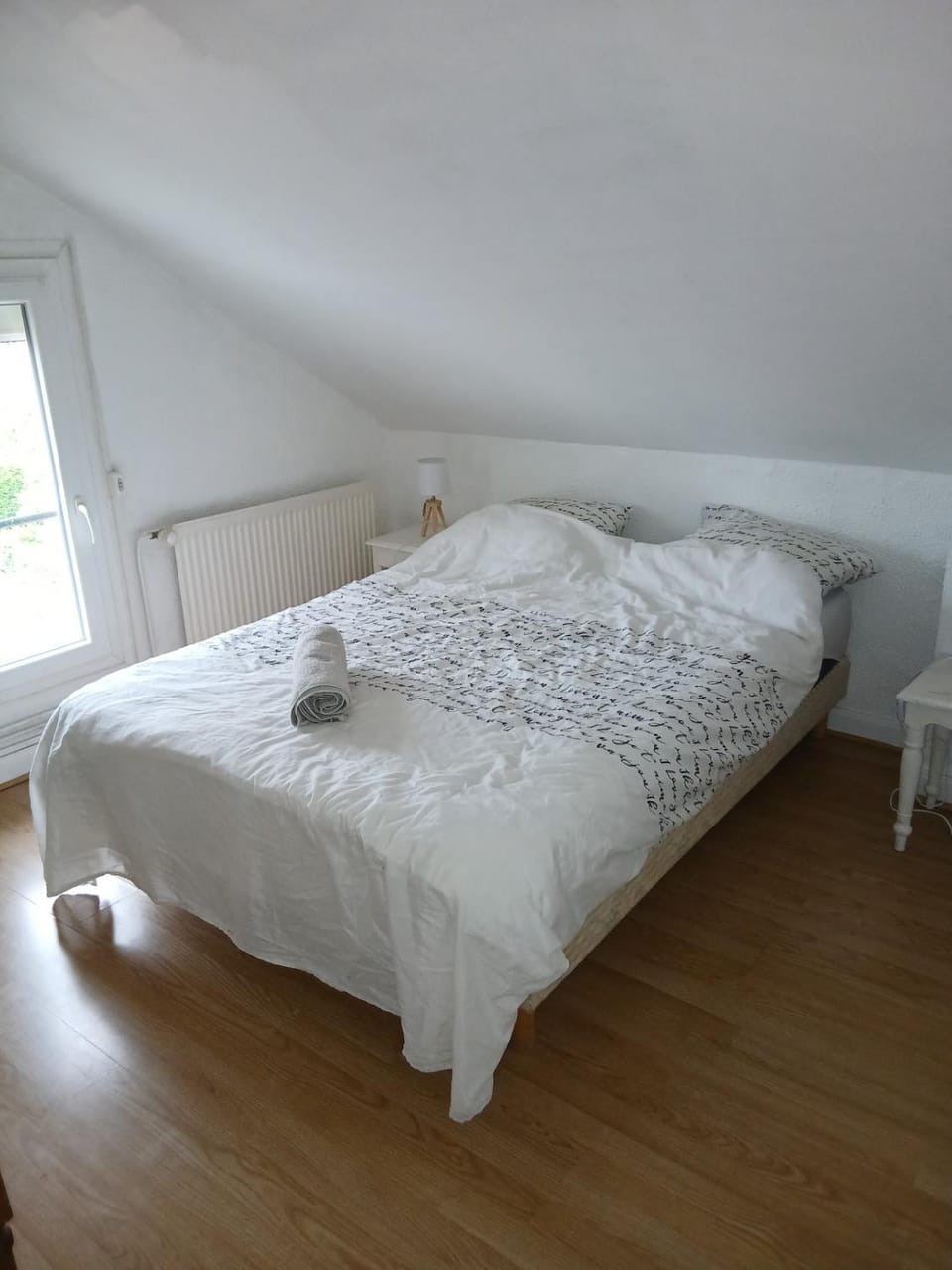 La Hutte Gauloise 7 personnes Loft de charme sous les toits proche du centre ville Apartment in Clermont-Ferrand