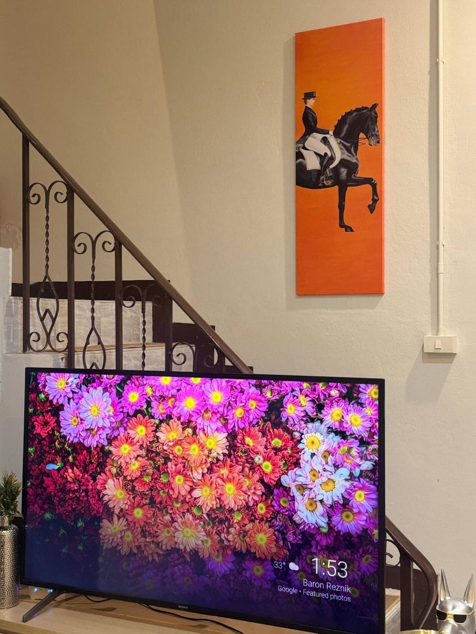 Communal lounge/ TV room, TV and multimedia, Animals, Pets