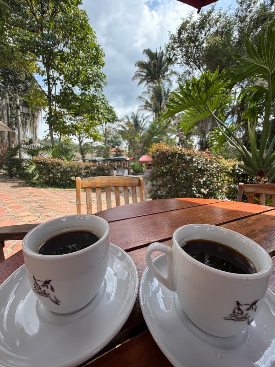 Coffee/tea facilities, View (from property/room)