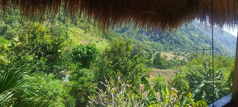 Sam Family Nature lodge in Abang