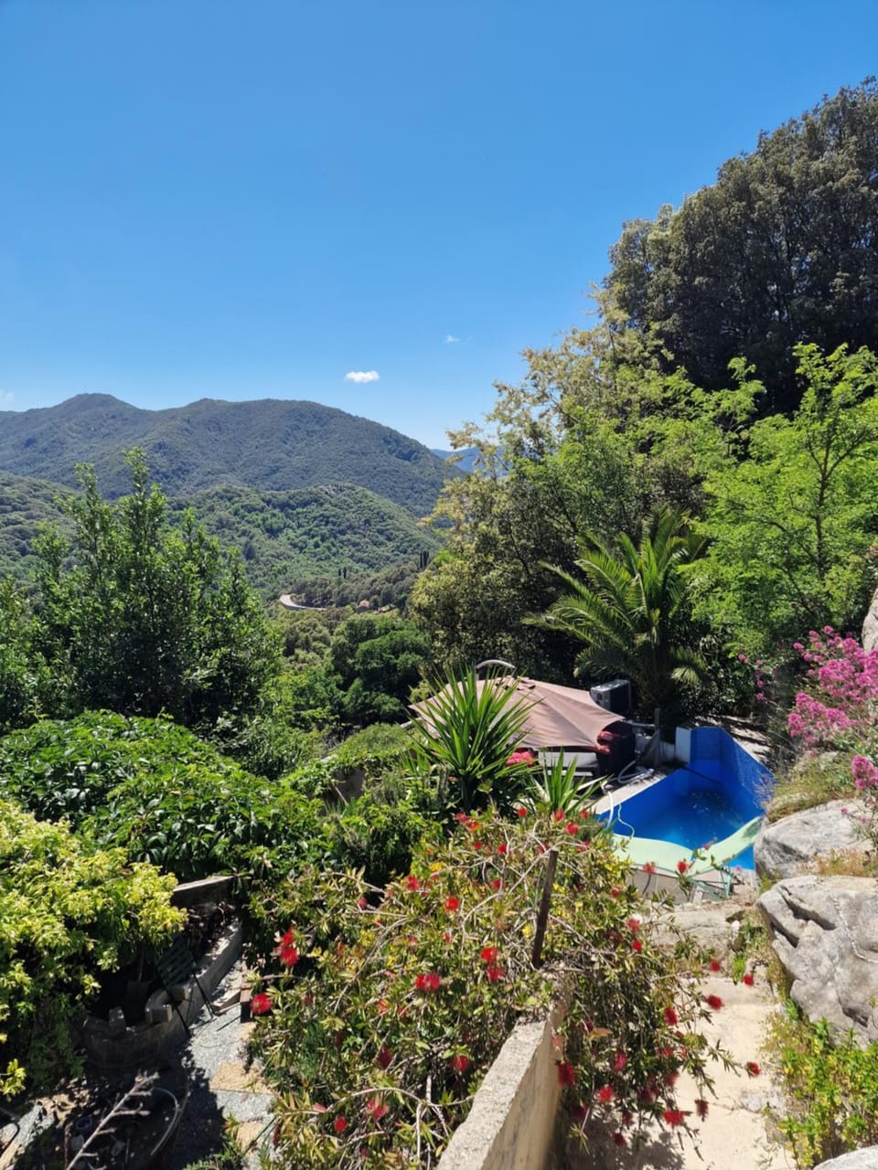A casa di catharina appartement Apartment in Corsica