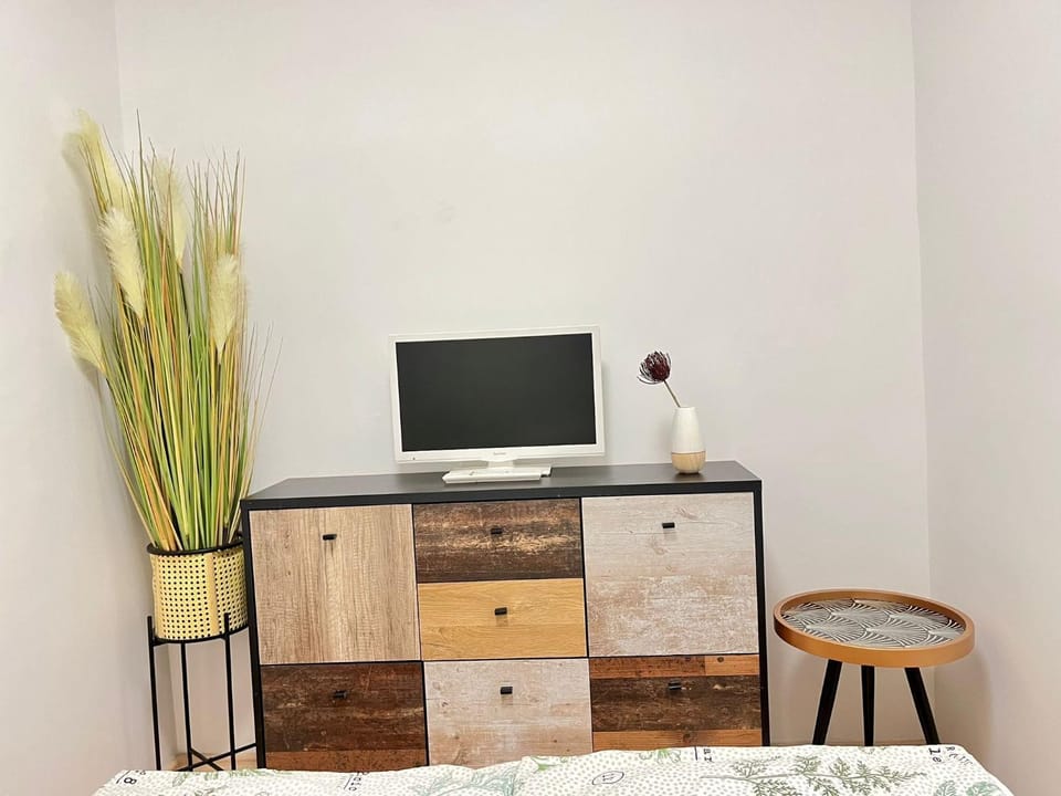 TV and multimedia