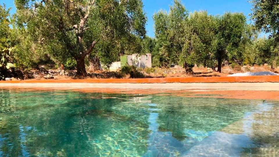 Casa e Trullo 57 Oliviers Villa in Province of Taranto