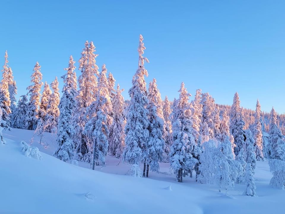Cabin with large terrace Cabin in Viken, Norway