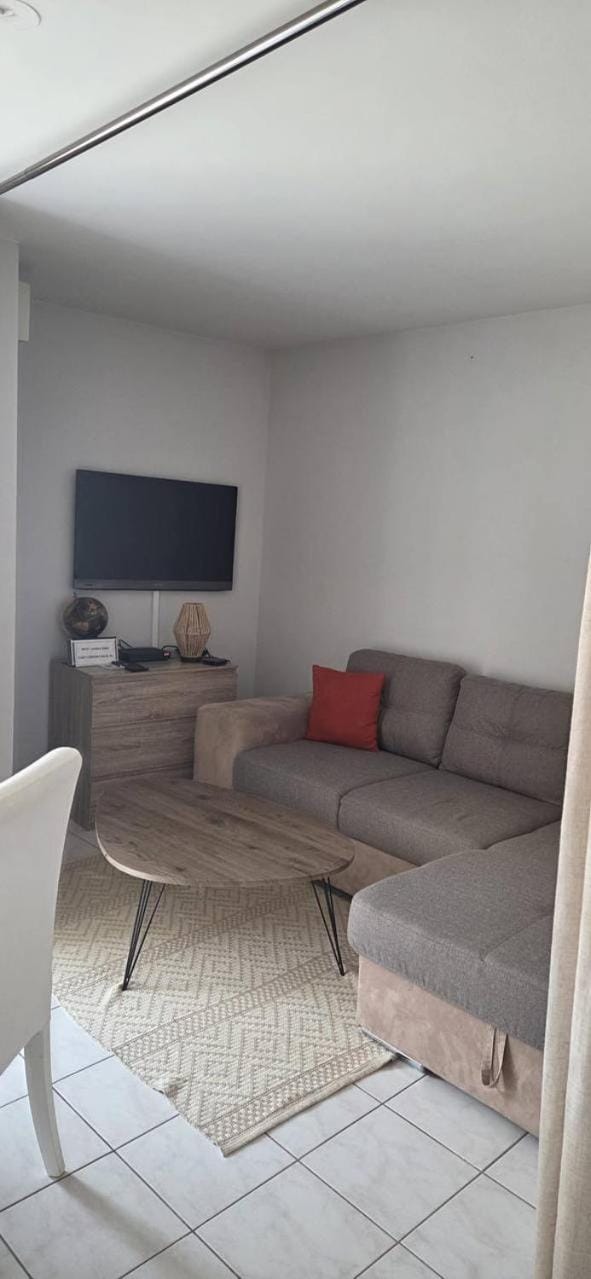 Palazzio Apartment Cannes Apartment in Cannes
