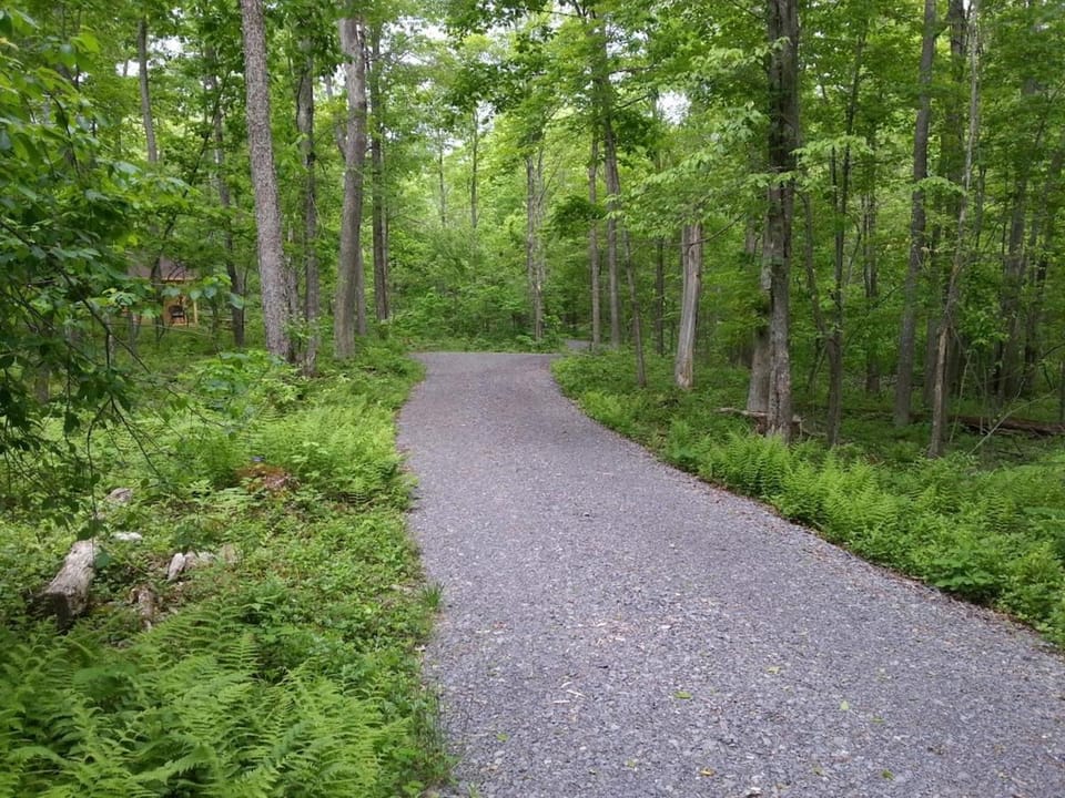 Natural landscape