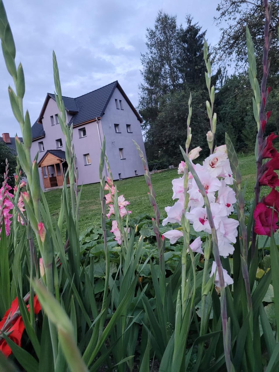 Bobrowe Zacisze Apartment in Lower Silesian Voivodeship