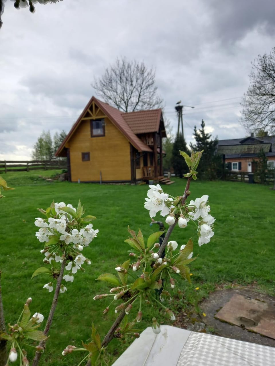 Mallow corner House in Poland
