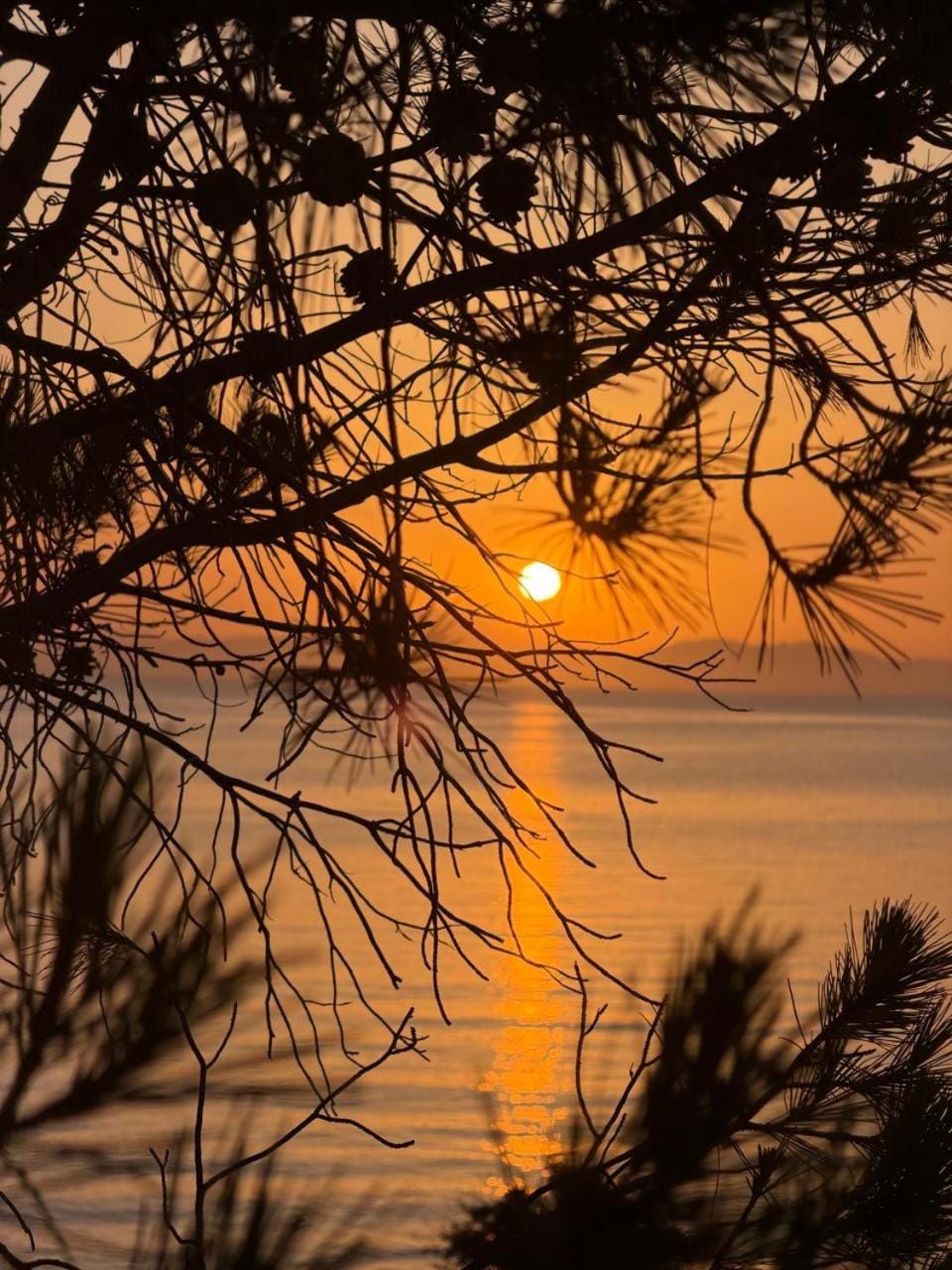 PJ Properties Sunset Residence Sounio Apartment in East Attica Regional Unit, Greece