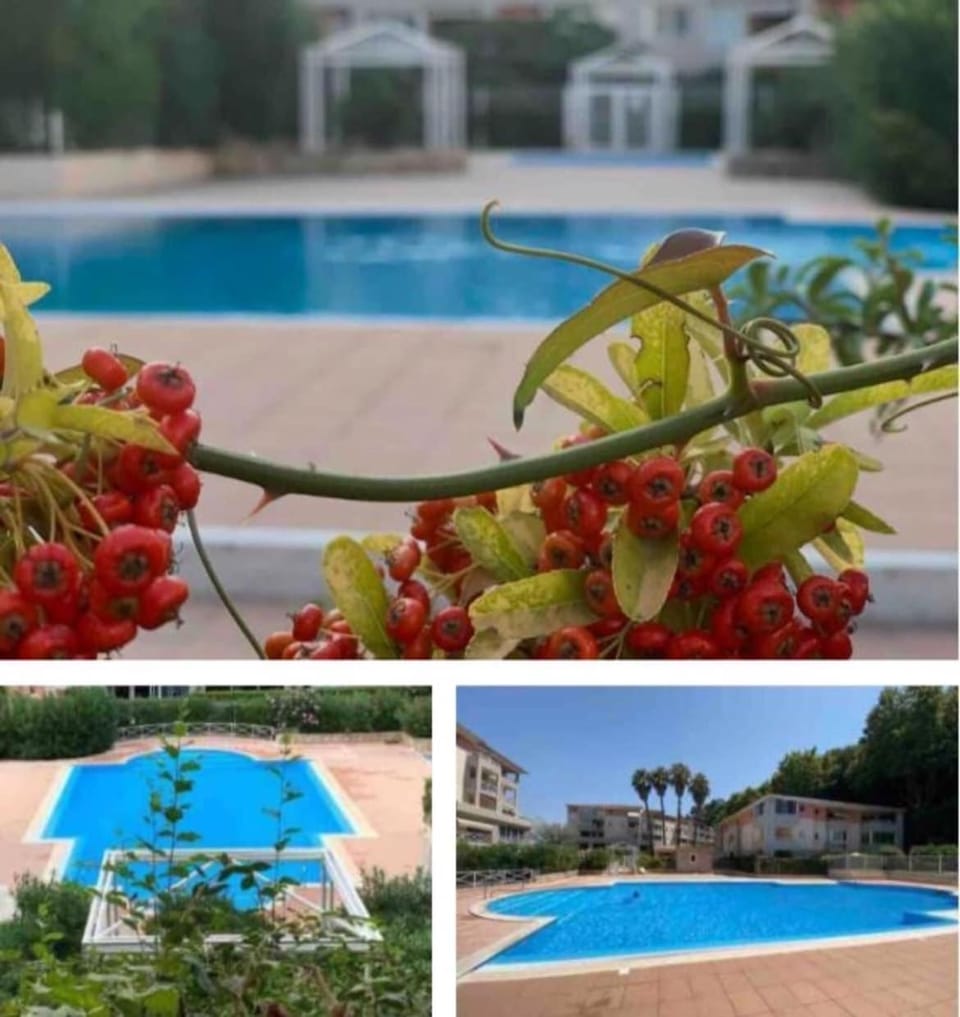 Bright 2 bedrooms, pool, garage Apartment in Cagnes-sur-Mer