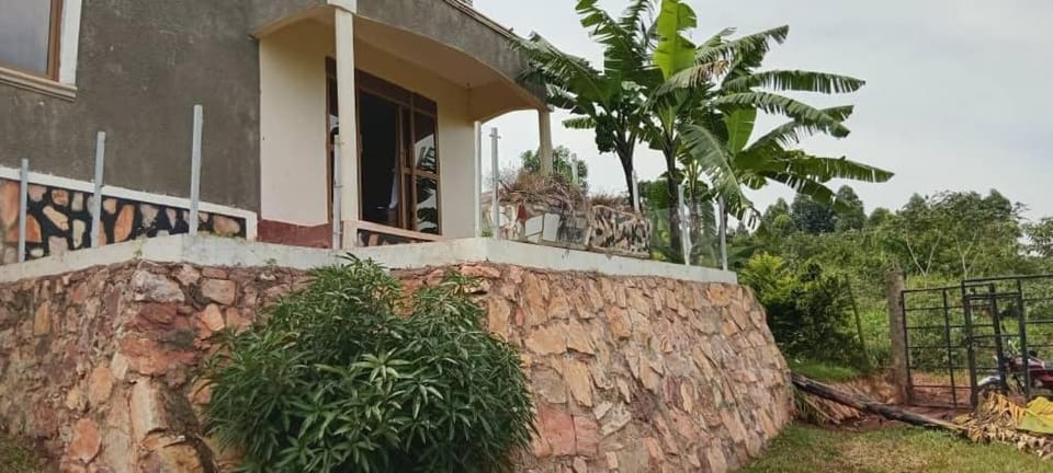 Balcony/Terrace, Garden view