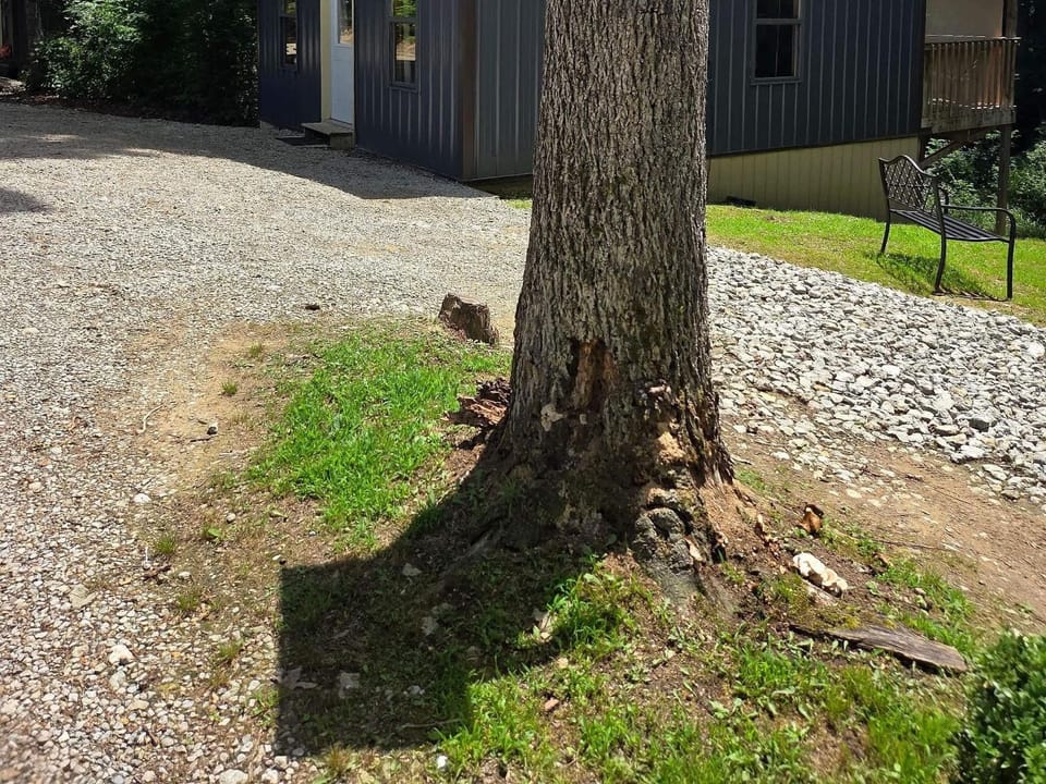 Firefly Landing at Avenwood Cabins Cabin in Falls Township