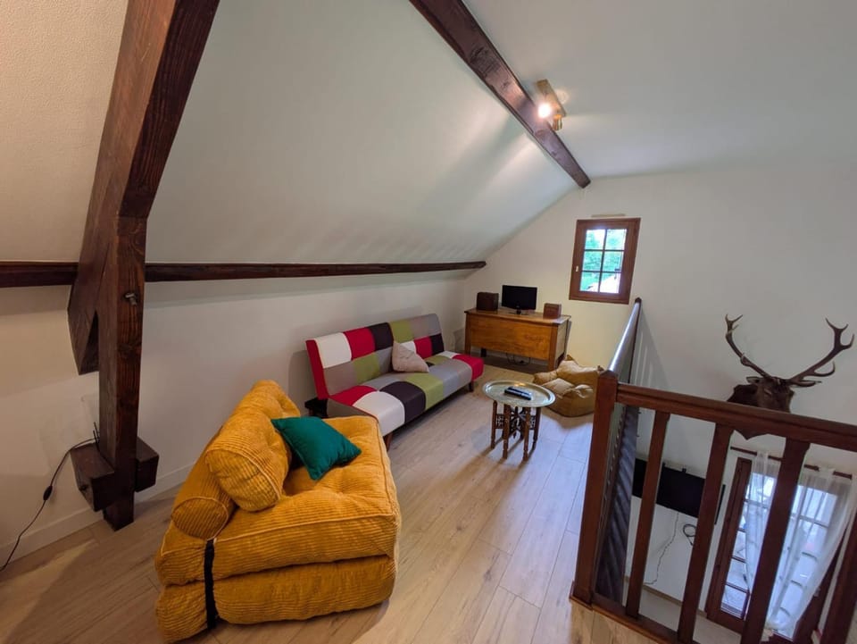 Library, Living room, Seating area