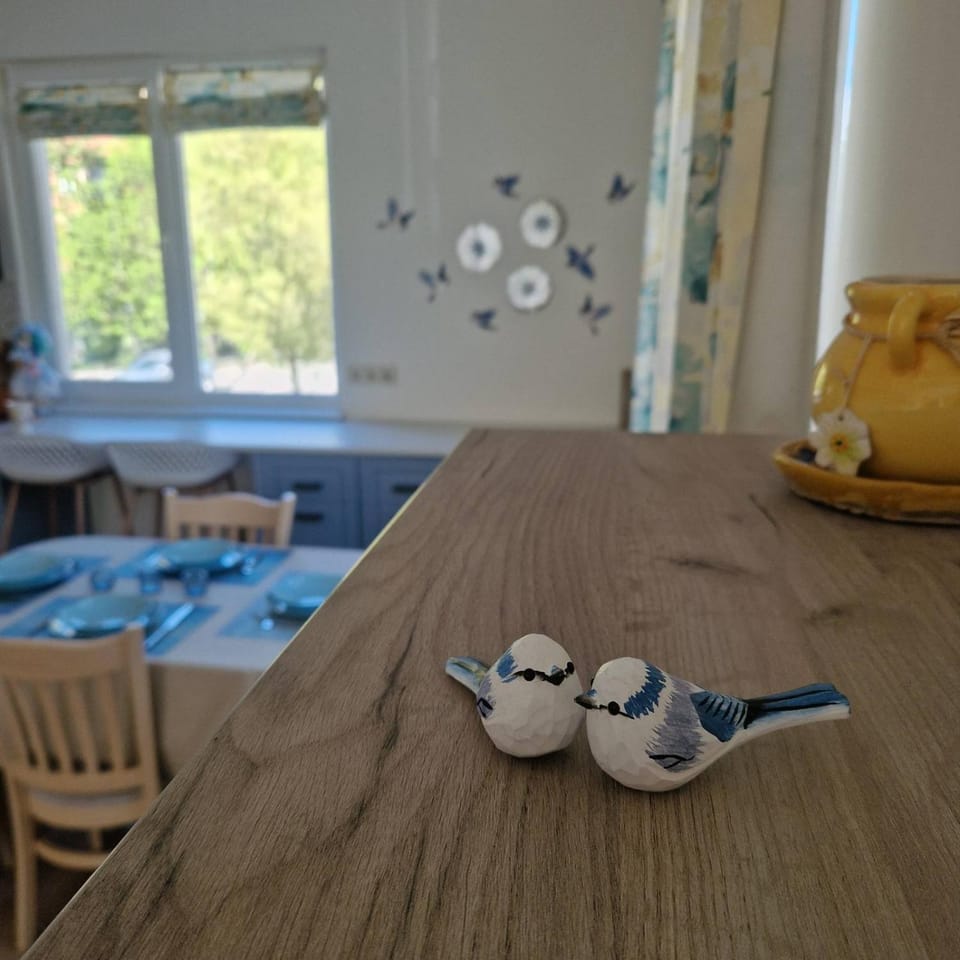 Blue Dreams - City Center Burgas Apartment in Burgas