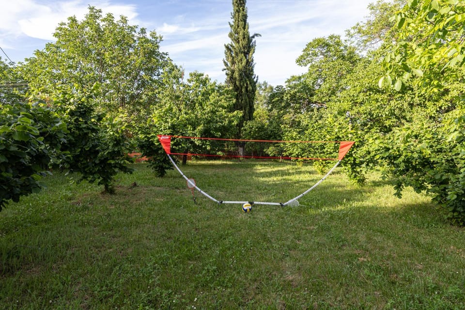 Children play ground